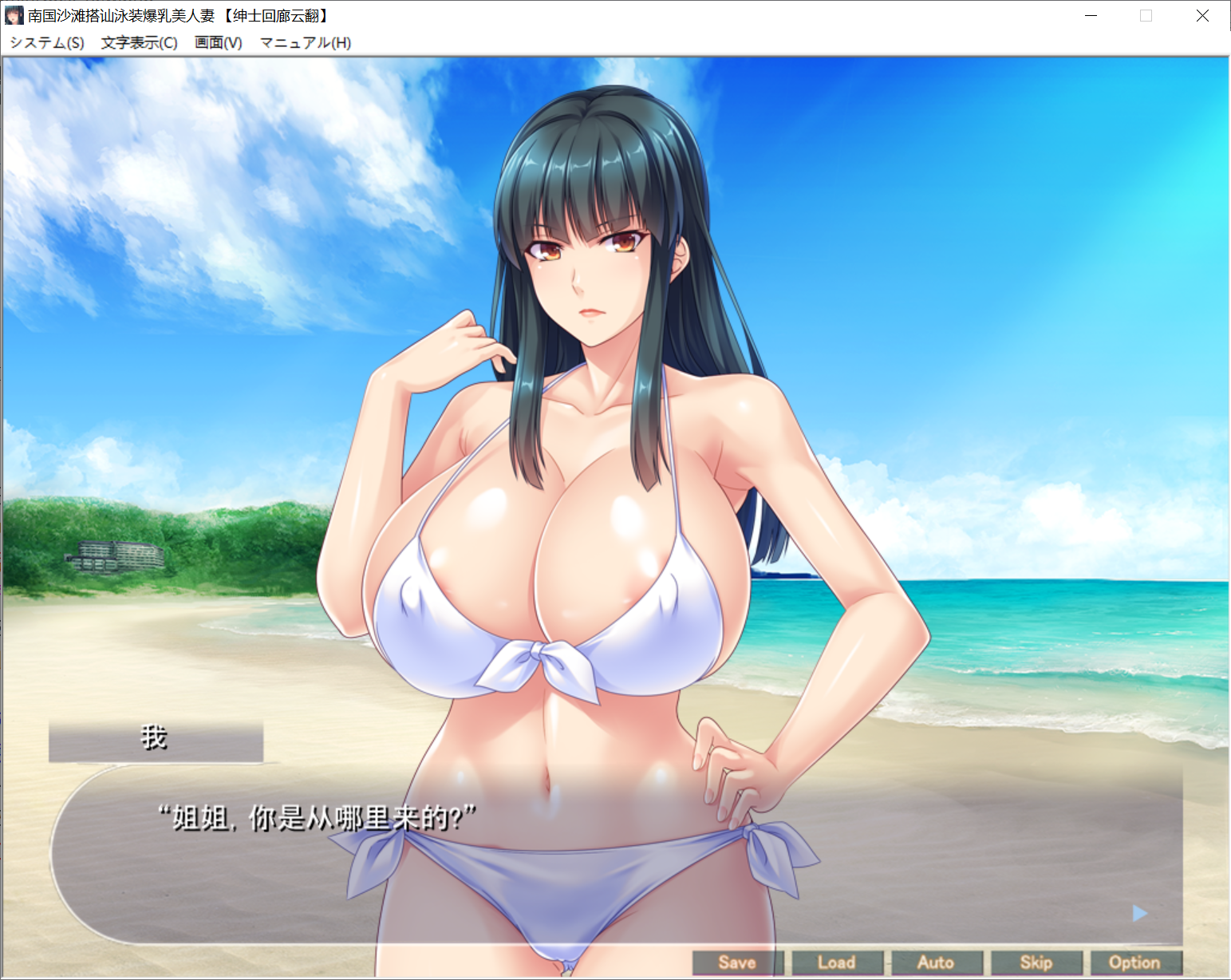 [PC-ADV游戏] 【拔作ADV/汉化】南国沙滩搭讪爆汝美人妻 绅士回廊云翻版 【500M】