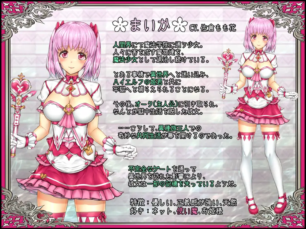[PC-ADV游戏] [ADV/汉化] 少女異種間獄 ～魔法少女&エルフ姫、オークと過ごす異世界性活～ AI汉化 [2.5G]